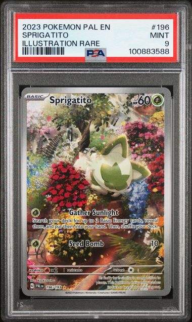 Sprigatito - 196/193 - Paldea Evolved - 2023 Pokemon - PSA 9