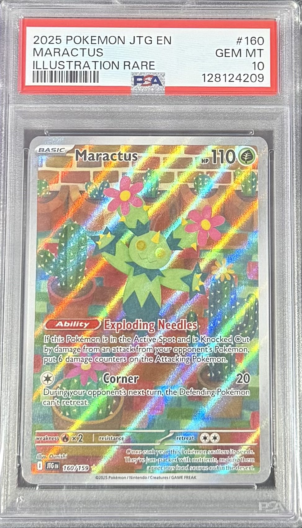 Maractus - Illustration Rare - 2025 Pokemon Journey Together - PSA 10