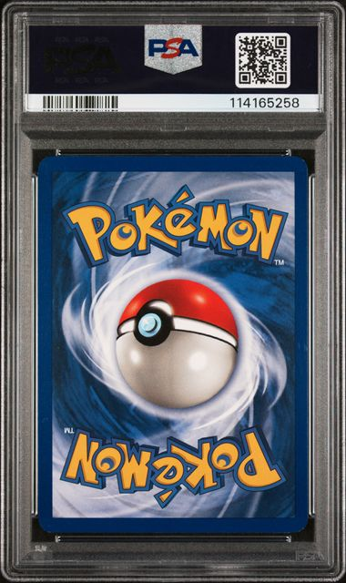 Pidgeot Holo 8/64 Jungle - 1999 Pokemon - PSA 8