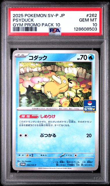 Psyduck 262/SV-P  - Gym promo Packs 10 - 2025 Pokemon SV-P Japanese - PSA 10