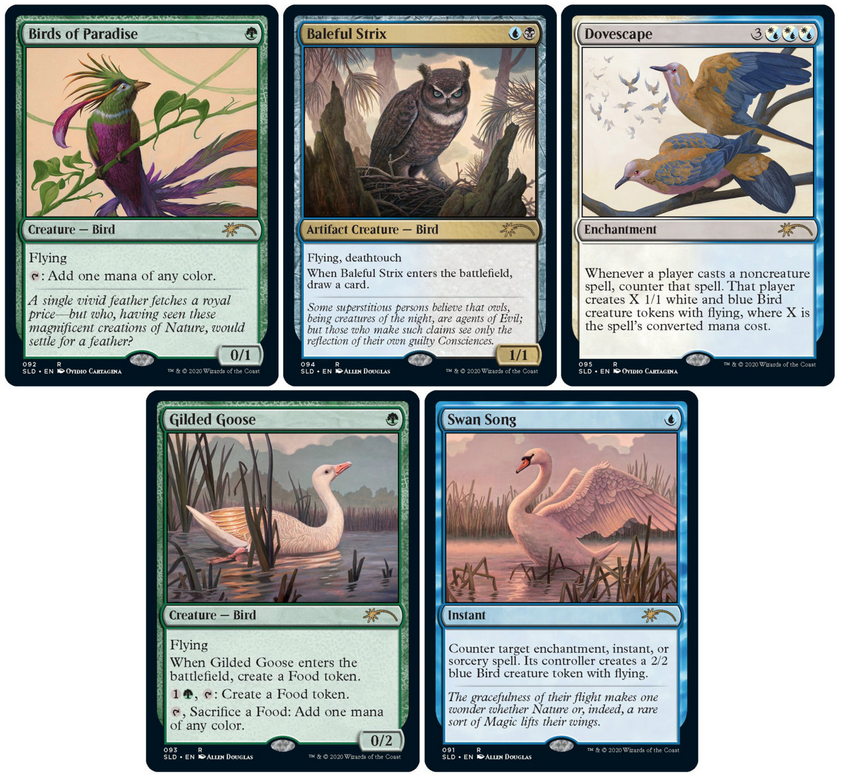 Secret Lair Drop: Summer Superdrop - Ornithological Studies - Non-Foil Edition